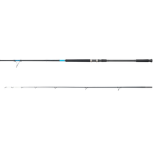 Shimano 25 Aquatip 12ft 10-15kg 2pc Surf Rod