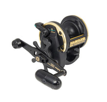Daiwa Sealine SL-20SH Black/Gold Boat Overhead Reel
