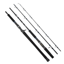 Daiwa 25 Leobritz DG 6ft 3in PE 5-6 2pc Electric Game Rod